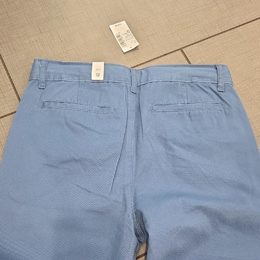 The Children's Place Kids Casual Blue Pants
